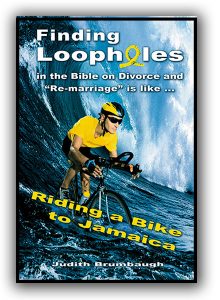 cover of Loopholes booki