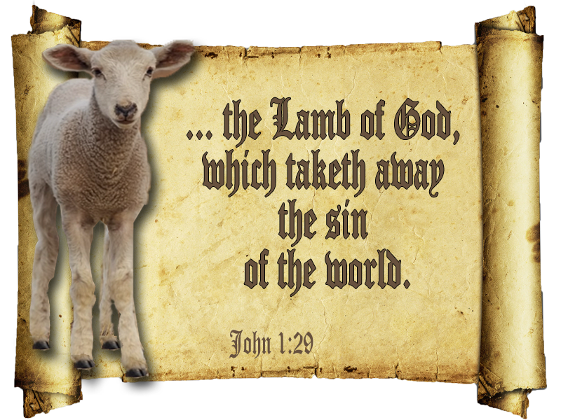 John 1:29 in scroll