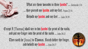 Scriptures proving nails were in palms of hands