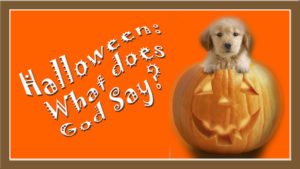 Halloween: What does God Say? with puppy on top of a carved pumpkin